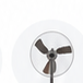 Fans